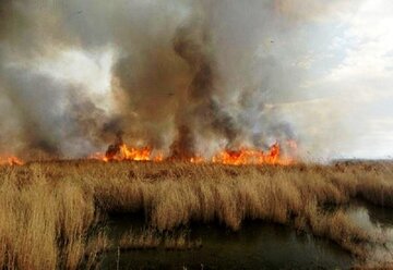 آتش‌سوزی ۴۰ هکتار از تالاب «داشخانه» مهاباد را طعمه حریق کرد