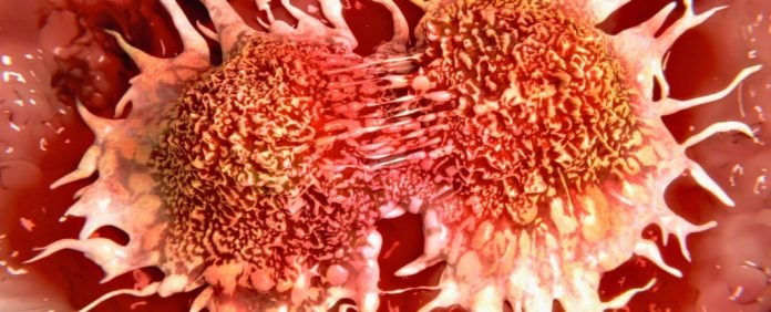 عفونـتهای ویـروسی ممکن است سلولهای سرطانی خفته را بیدار کنند