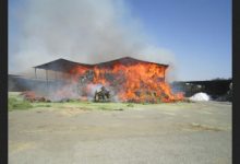 مهار آتش سوزی در انبار علوفه دامداران در بوکان